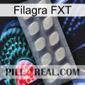 Filagra FXT 08